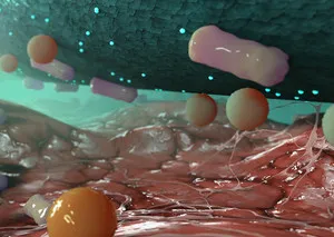 Cutimed Sorbact, Kompresse, antimikrobielle Wundauflage, ste